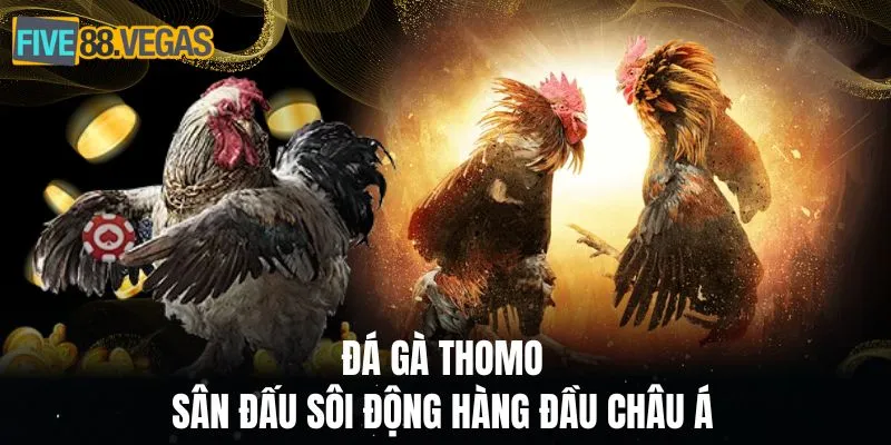 Đá gà Thomo - Sàn đấu hàng đầu châu Á