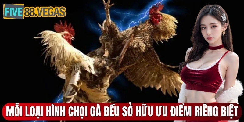 Mỗi loại hình chọi gà đều sở hữu ưu điểm riêng biệt