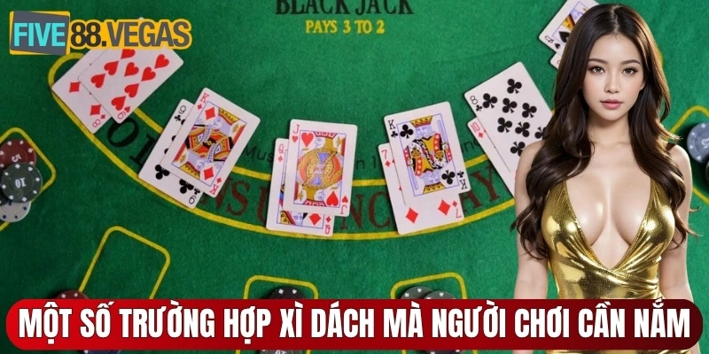 Một số trường hợp xì dách mà người chơi cần nắm bắt