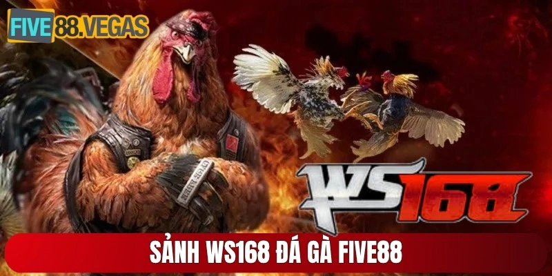 Sảnh WS168 đá gà Five88