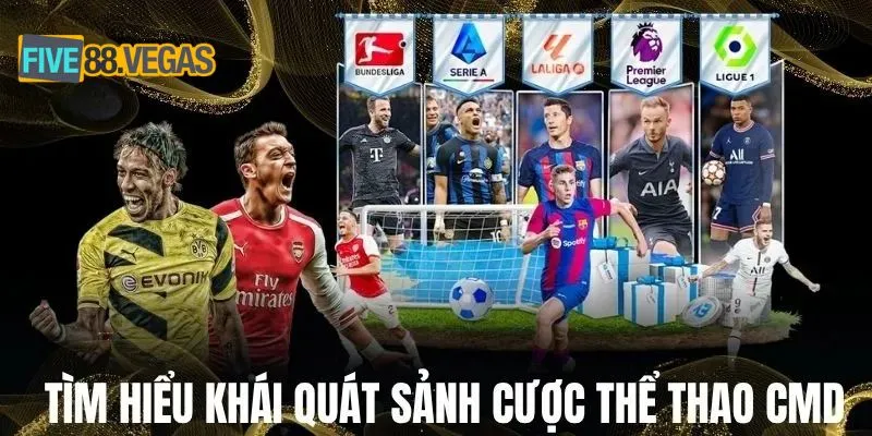 Tìm hiểu khái quát sảnh cược thể thao CMD 
