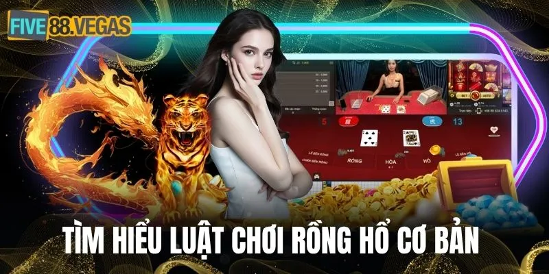 Tìm hiểu luật chơi rồng hổ cơ bản cho newbie